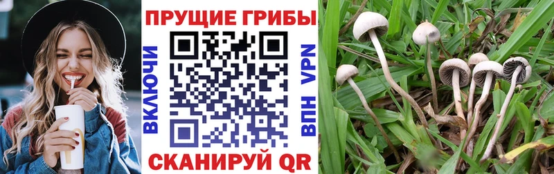 Галлюциногенные грибы Cubensis  цены наркотик  Тюмень 